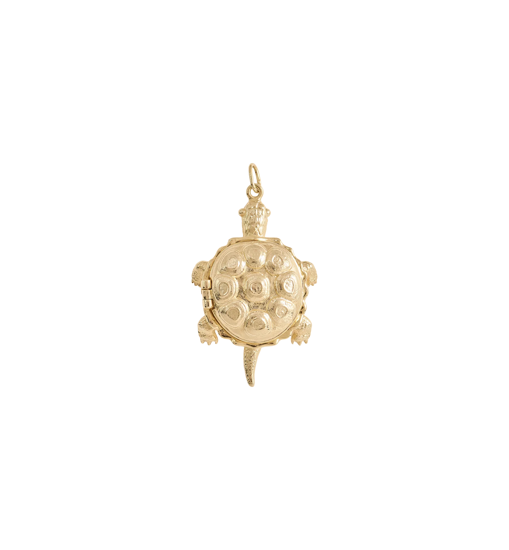 Whispering Turtle Charm
