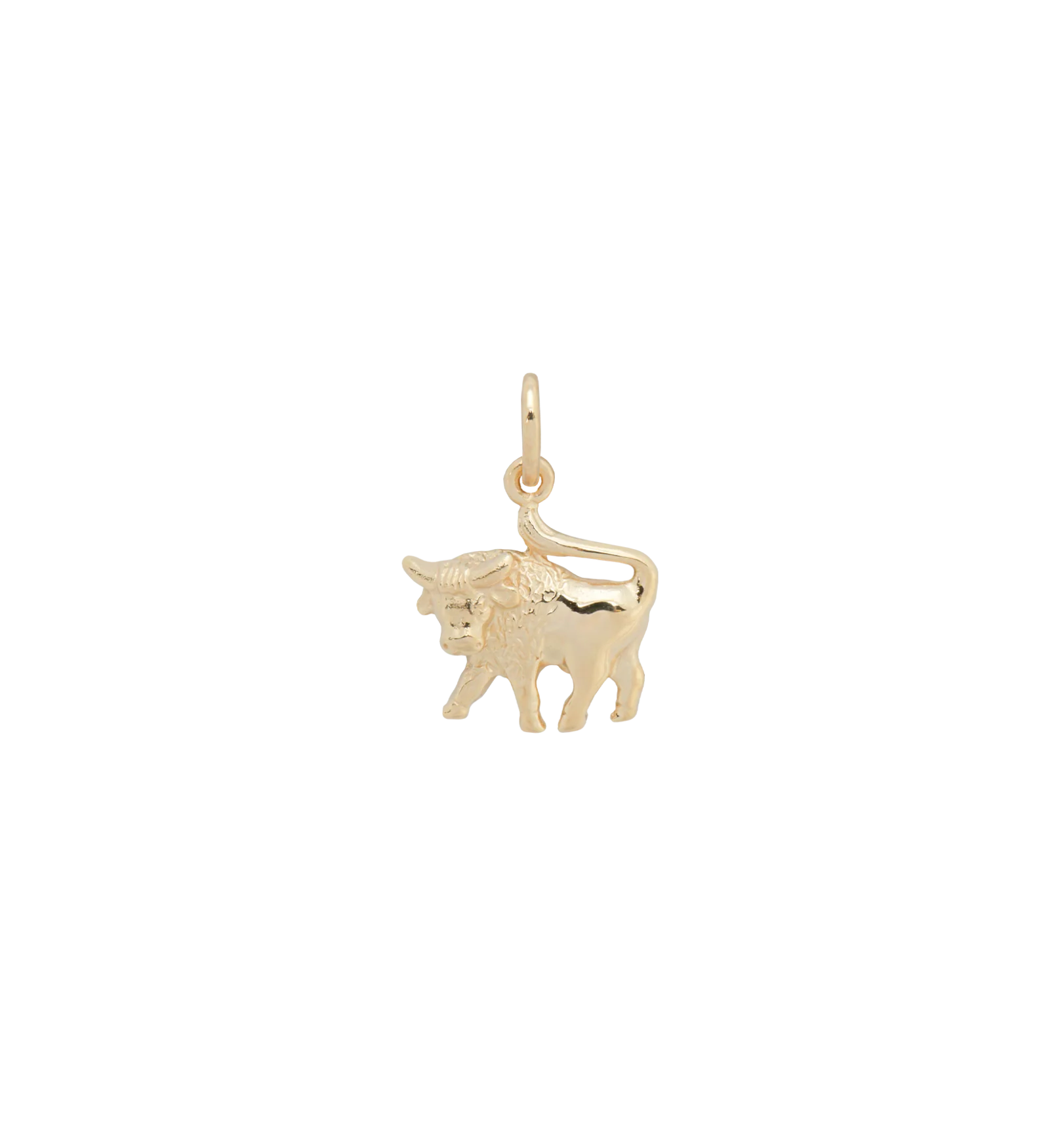 Zodiac Charm 14K - Image 25