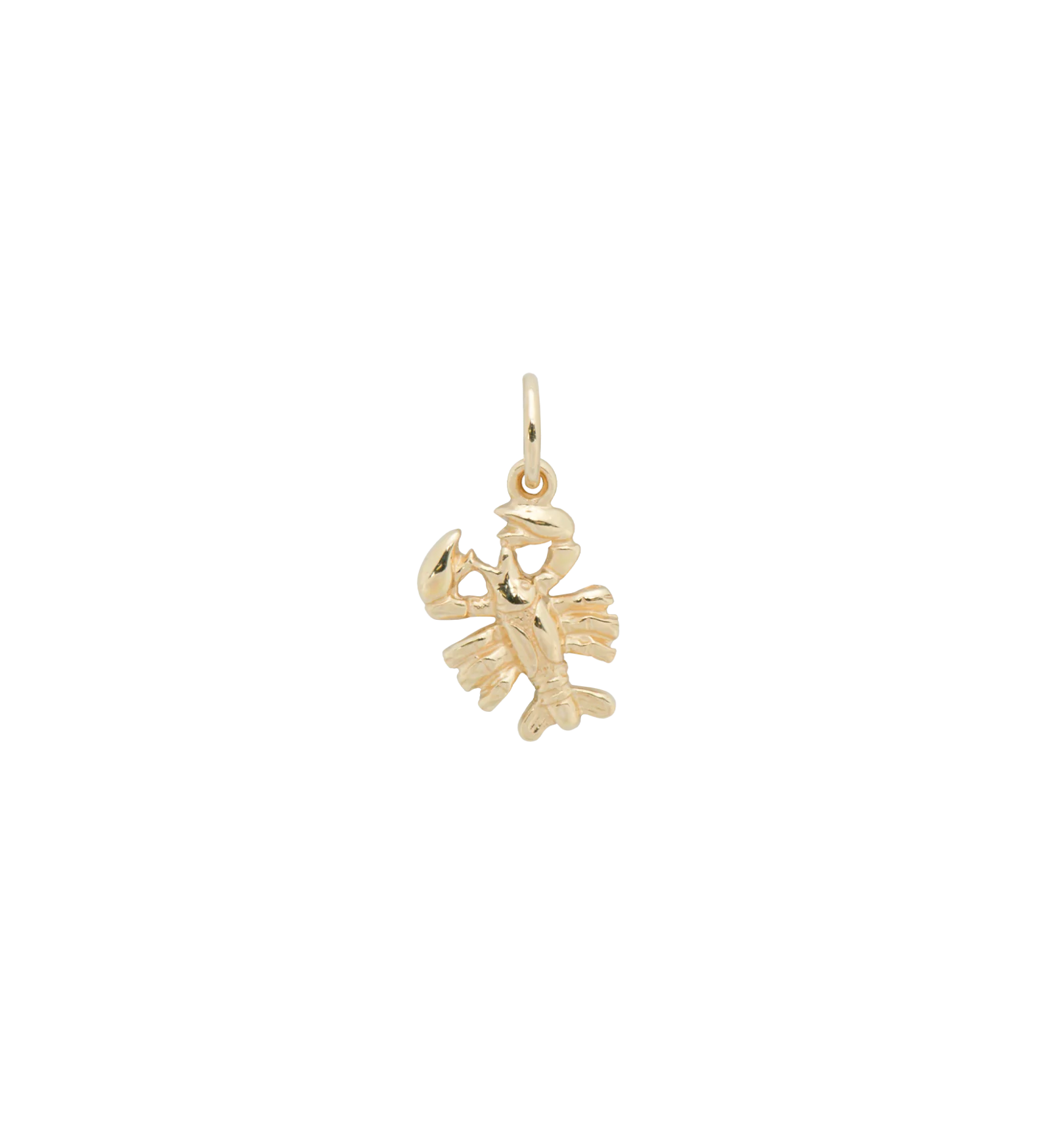 Zodiac Charm 14K - Image 9